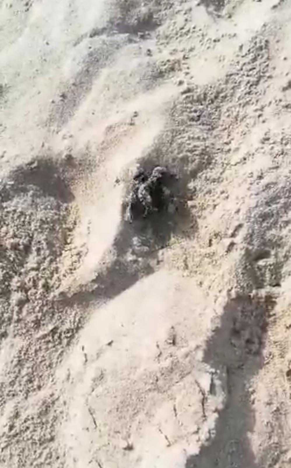 Lo stupore della turista a Muravera: le tartarughine appena nate in viaggio verso il mare