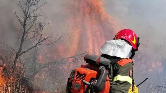 Incendio distrugge 4 ettari coltivati a pascolo