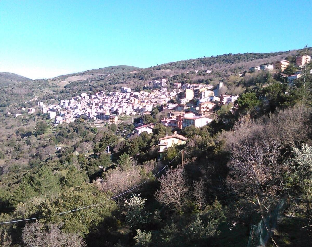 Inchiesta su una morte sospetta 