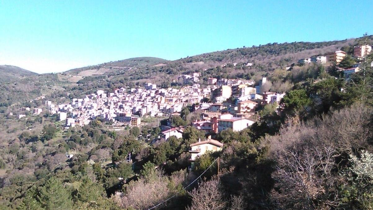 Inchiesta su una morte sospetta