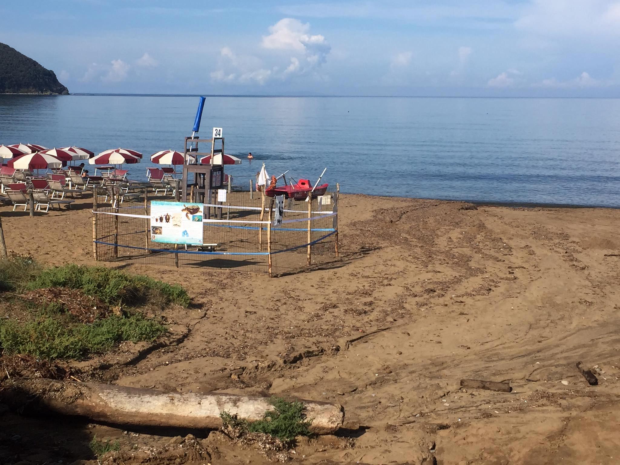 Il nido di Baratti con (a destra) il cratere lasciato dal fiume d’acqua di domenica 20 settembre