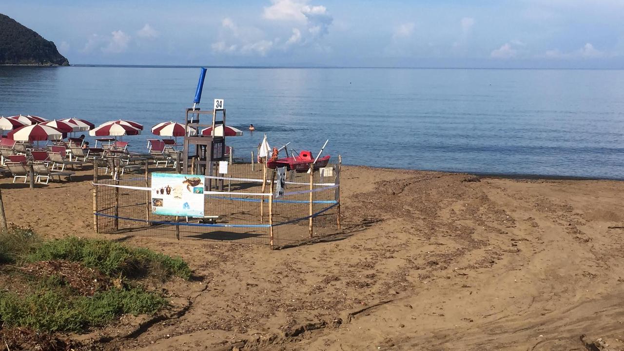 Il nido di Baratti con (a destra) il cratere lasciato dal fiume d’acqua di domenica 20 settembre