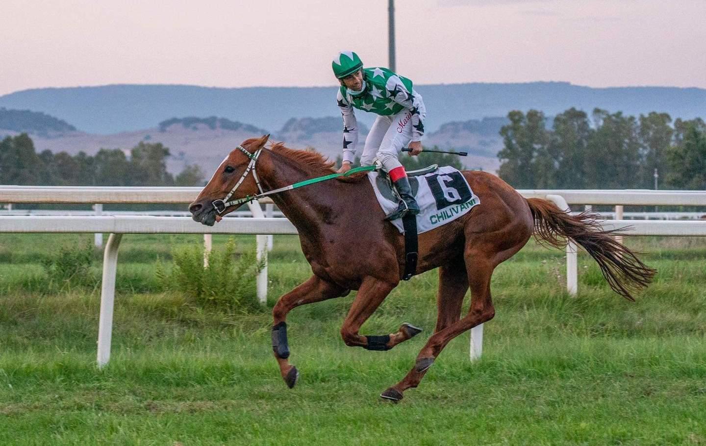 «Che bello fare la storia del galoppo isolano» 
