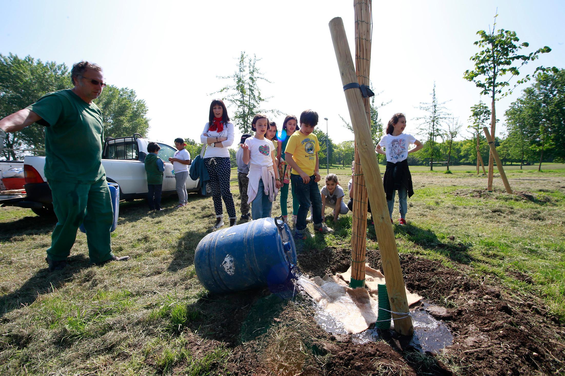 A Modena previsti 200mila alberi in più entro il 2023