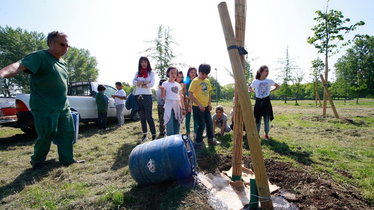A Modena previsti 200mila alberi in più entro il 2023