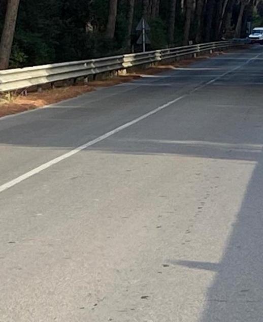 Via gli aghi di pino dalla provinciale 158