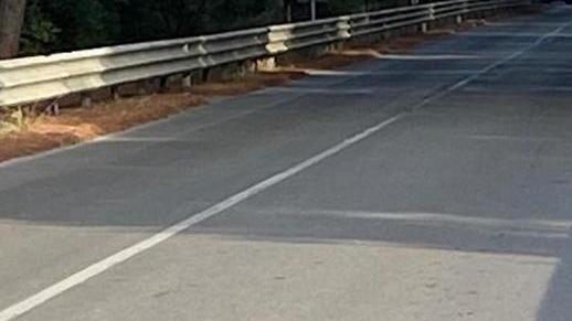 Via gli aghi di pino dalla provinciale 158