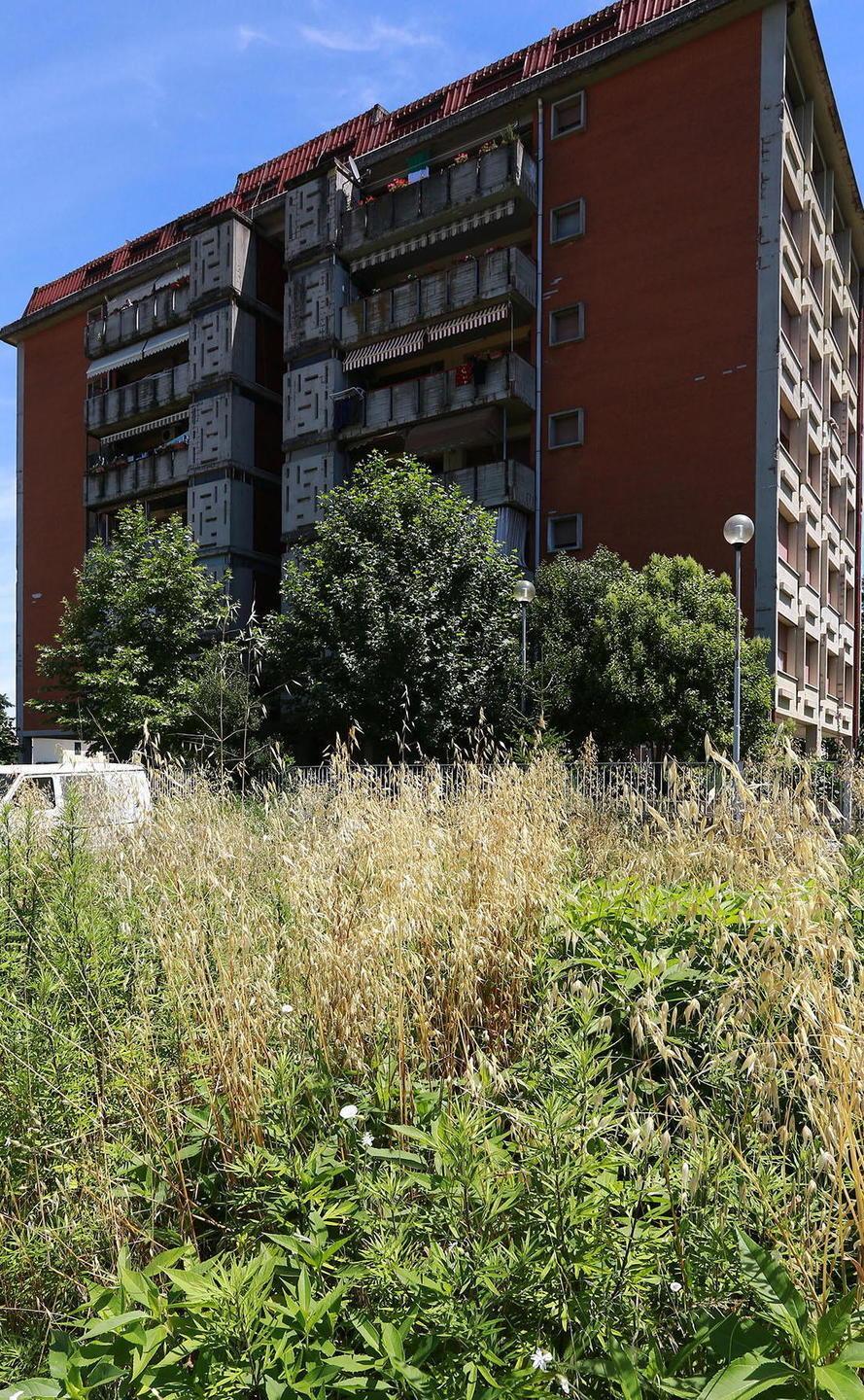 Case popolari, pubblicate le graduatore di 3 Comuni Ecco come fare ricorso 
