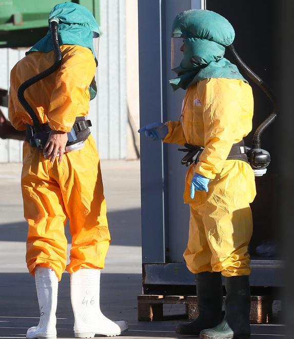 Salmonella tra i tacchini scoperta dai controlli dei veterinari dell’Asl