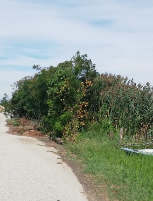 Sporcizia e degrado sull’argine del Po 