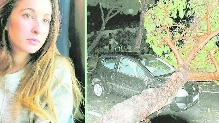 Tromba d'aria a Rosignano, il pino cade sull’auto mentre lei è al volante: «Attimi infiniti. Ho pensato che sarei morta»