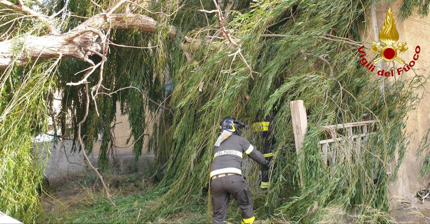 Tempesta di vento nel Nord Sardegna, super lavoro per i vigili del fuoco