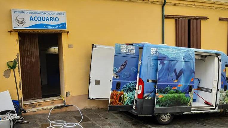 «Chiusura decisa in silenzio eppure era stata prevista una gara per l’affidamento»