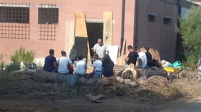 Giardino zen, viti e... cipolle negli spazi esterni recuperati 