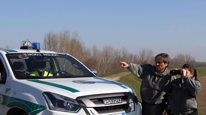 Cacciatore irregolare sfugge ai controlli Fermato e stangato