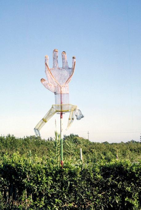 Fotografia, parte da Villa Verde il progetto A.Banda 2020