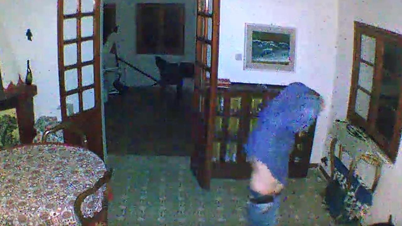 Ruba in una villa, arrestato un 45enne