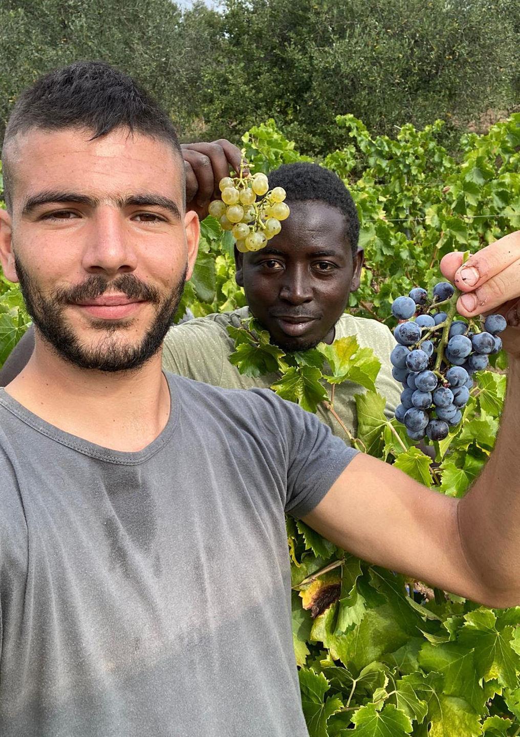 Dal Mali a Mamoiada vini senza frontiere con Nassar e Aziz 