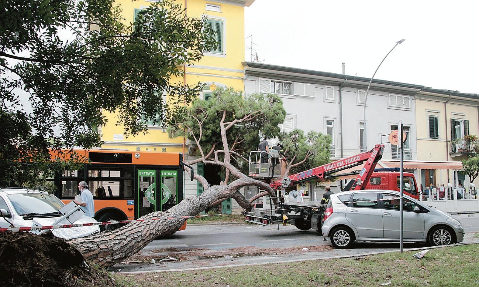 «Sfiorate dall’albero crollato siamo vive per miracolo» 