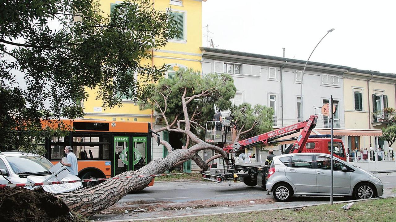 «Sfiorate dall’albero crollato siamo vive per miracolo»
