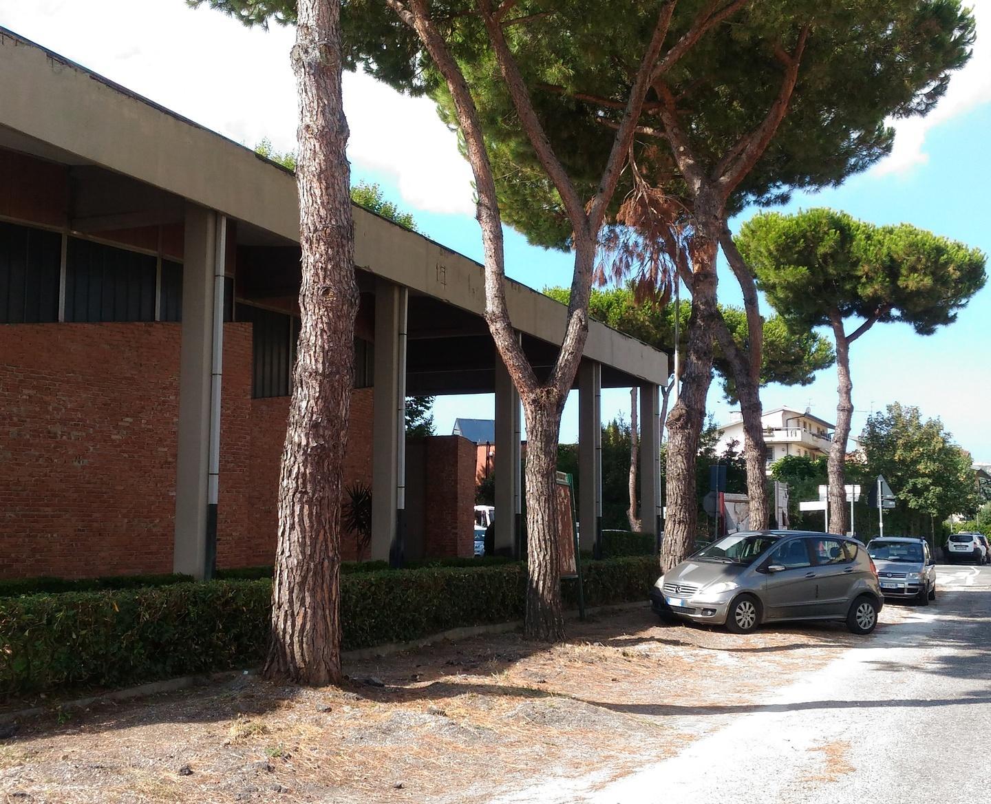 A fine luglio la lettera al sindaco: «Pini a rischio alla ex circoscrizione»