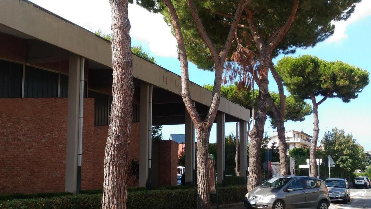 A fine luglio la lettera al sindaco: «Pini a rischio alla ex circoscrizione»