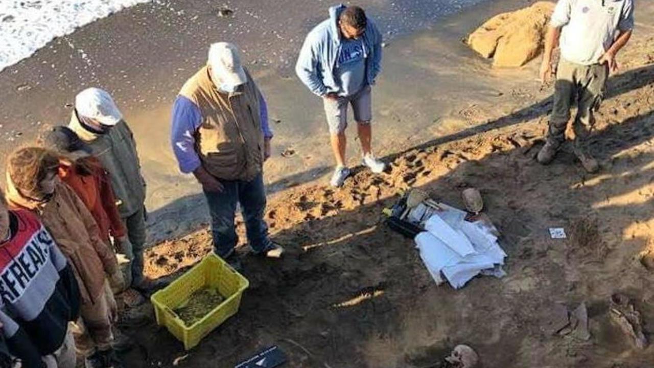 Scoperta una nuova tomba col corredo dedicato a Fufluns