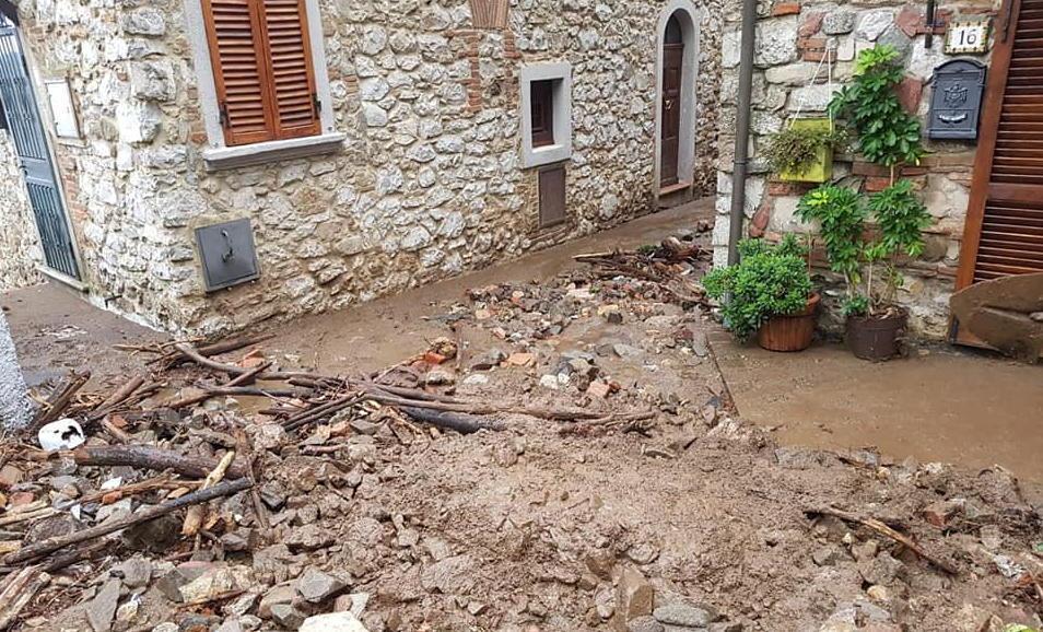 Abbattuti in piazza due pini pericolanti