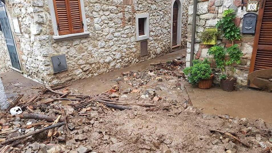 Abbattuti in piazza due pini pericolanti