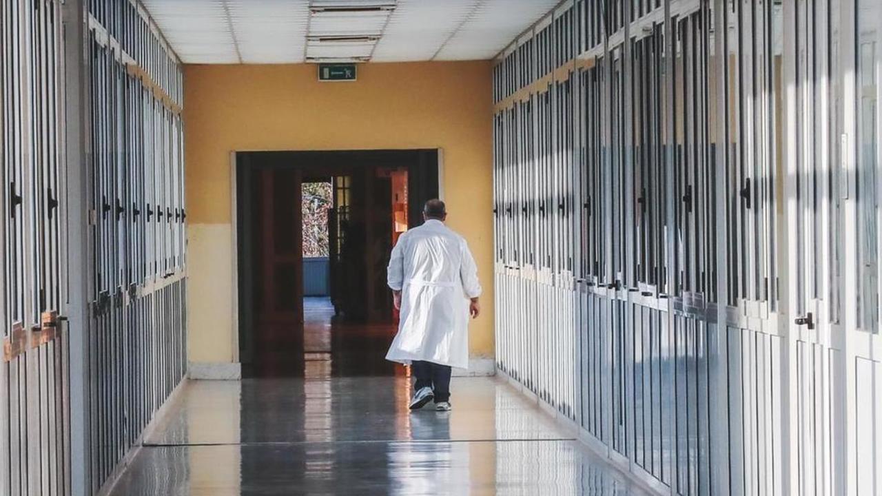 Altro record: 13 nuovi positivi ma i ricoverati scendono a 5