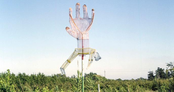 Frammenti di un’isola in 1200 fotografie 