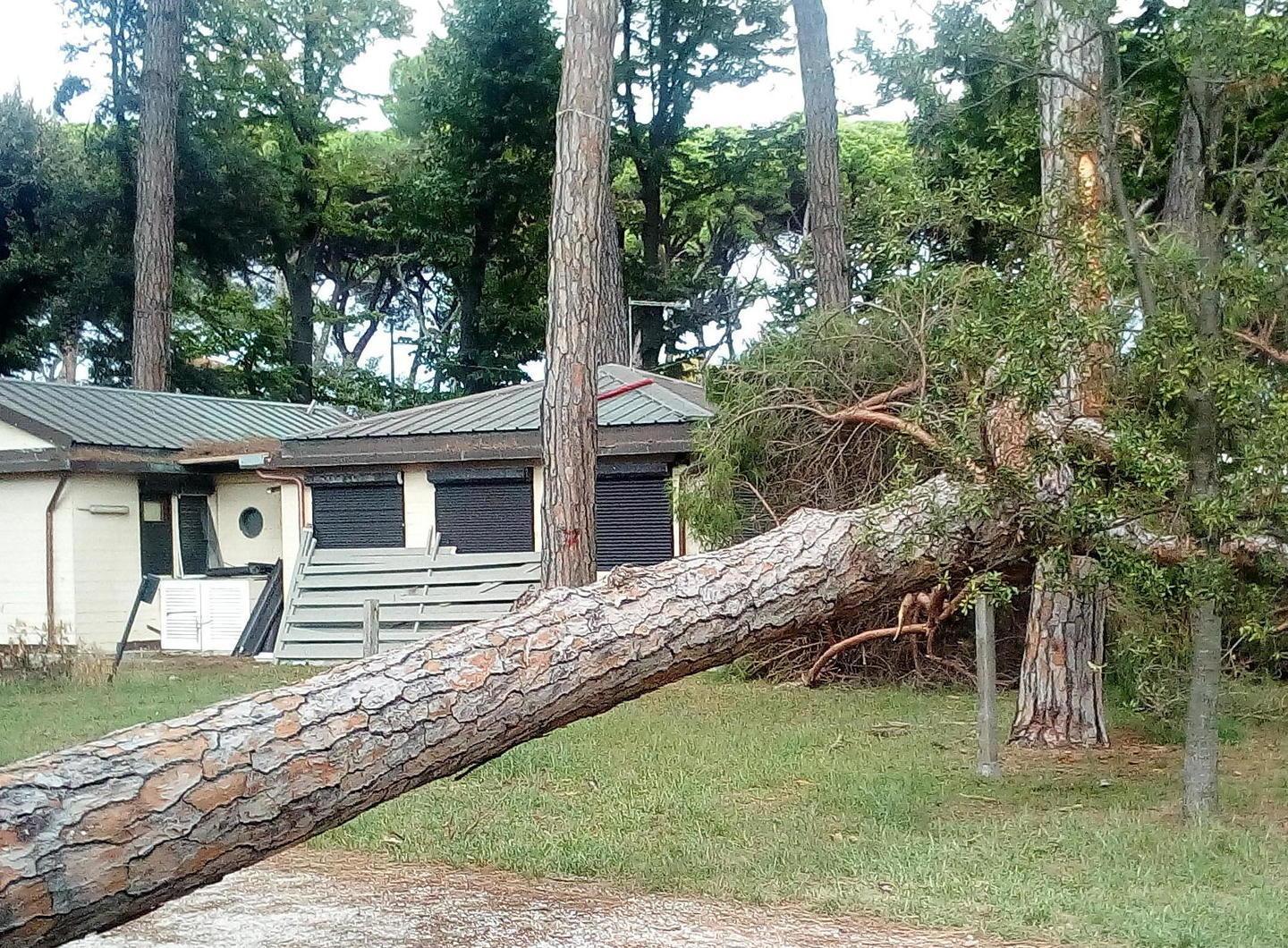 Chioschi che nessuno vuole sono il rifugio di ladri, spacciatori e senza tetto 