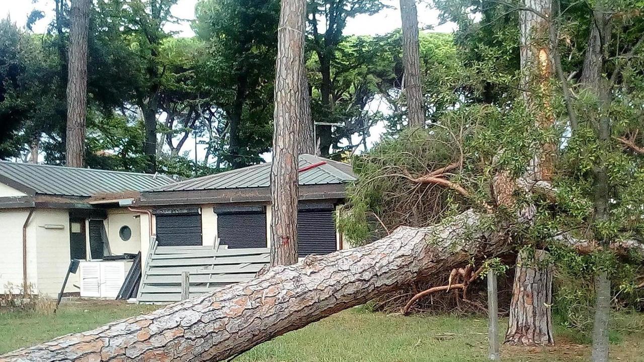Chioschi che nessuno vuole sono il rifugio di ladri, spacciatori e senza tetto