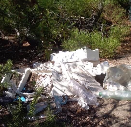Sos invasione di polistirolo «Sono le cassette del pesce» 