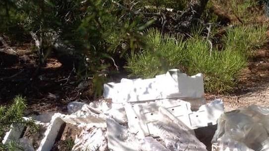 Sos invasione di polistirolo «Sono le cassette del pesce»