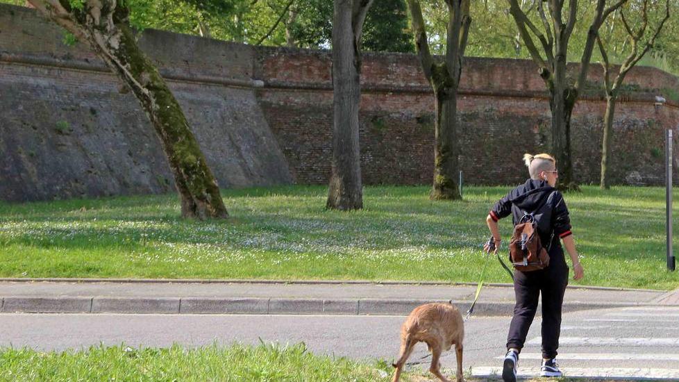 Restauro delle Mura il traguardo è fissato Pronti 900mila euro