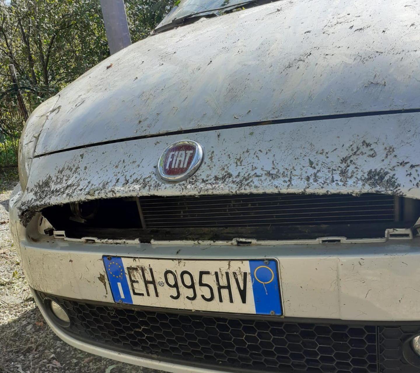 Parcheggia l’automobile sotto casa e la ritrova danneggiata dai cinghiali