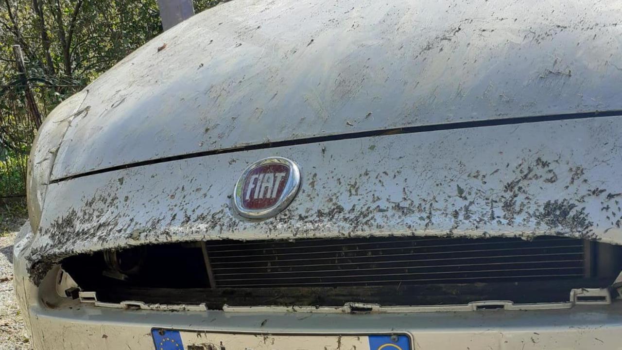 Parcheggia l’automobile sotto casa e la ritrova danneggiata dai cinghiali