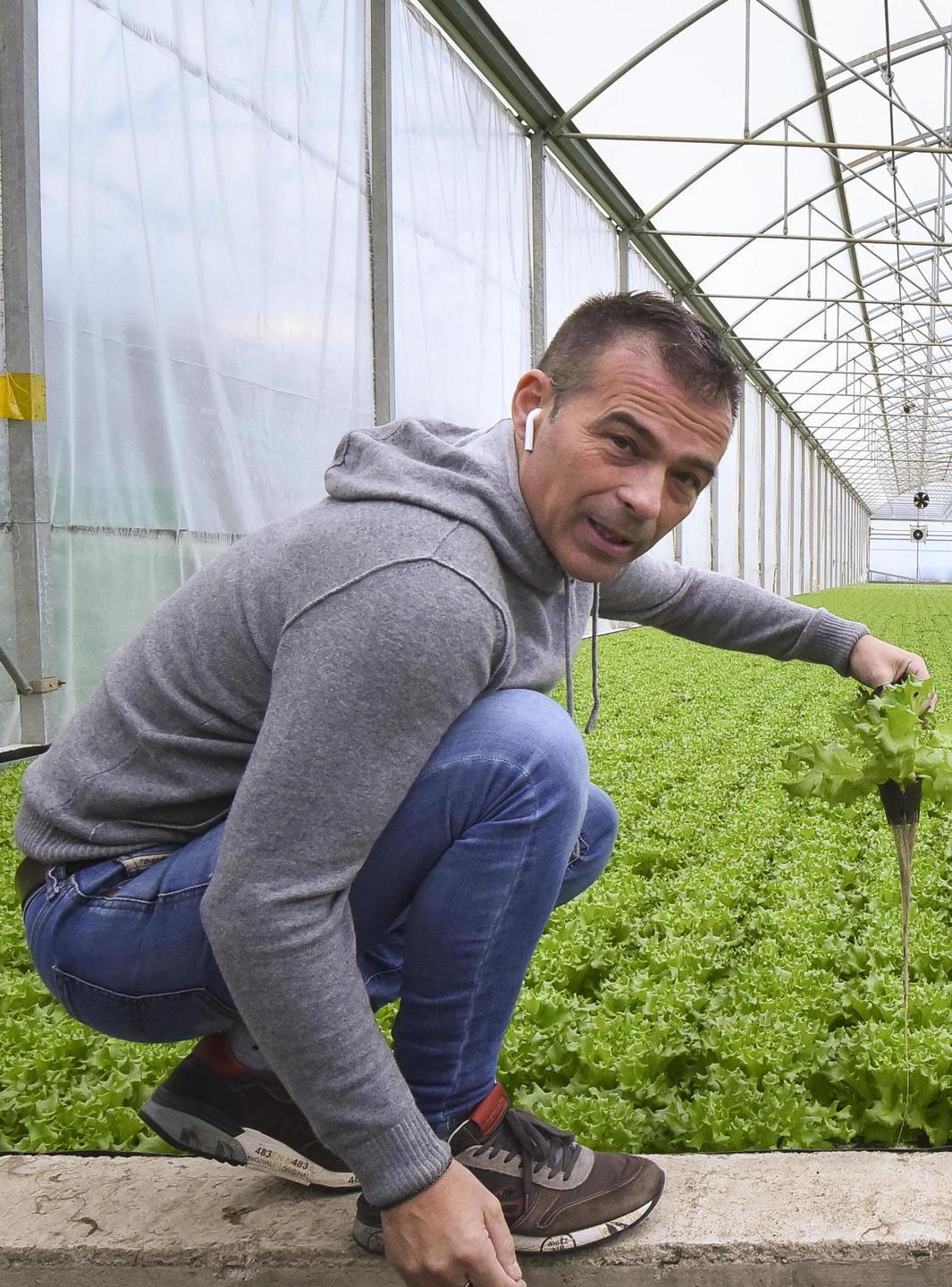 Nasce il pomodoro del futuro: meno acqua e tracciabilità 