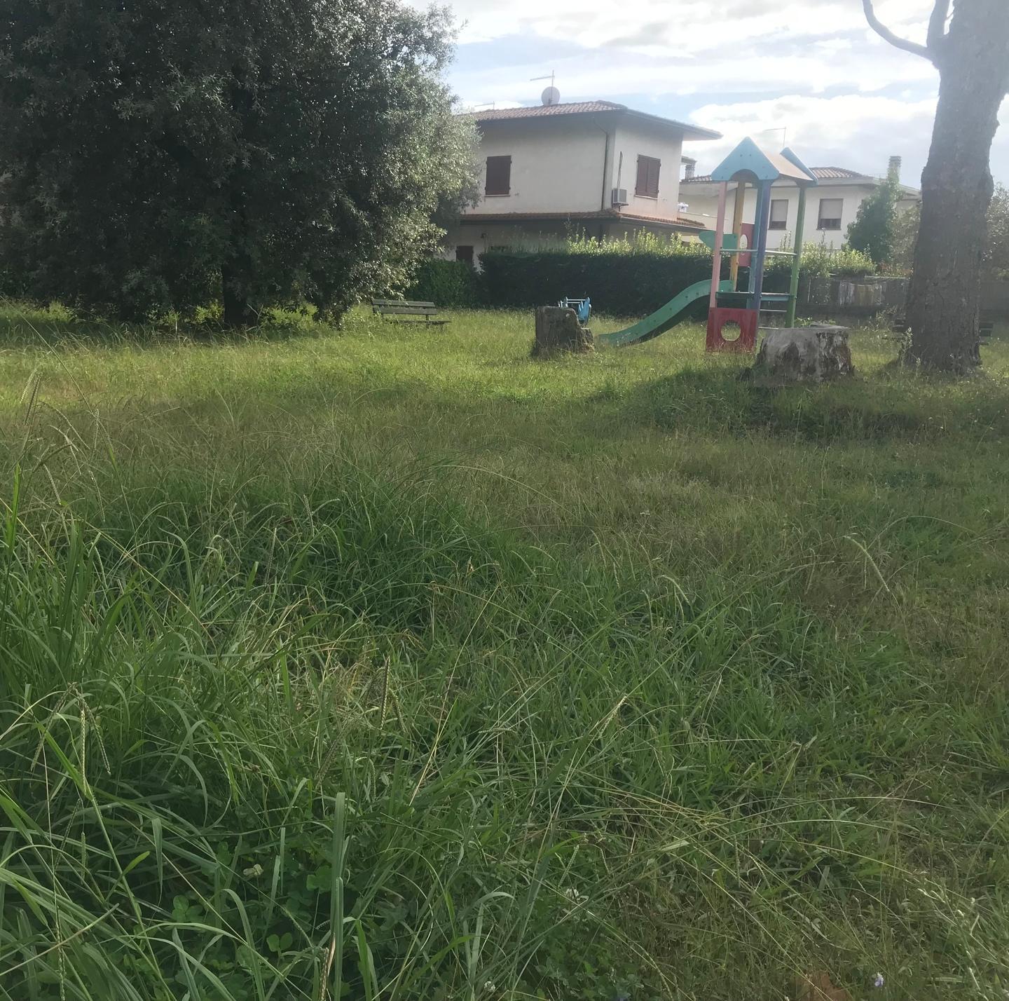 Il parco giochi dell’Africa necessita di attenzione