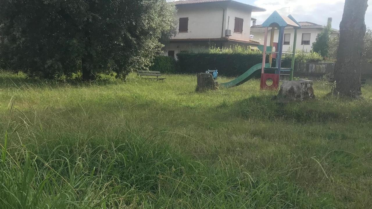 Il parco giochi dell’Africa necessita di attenzione