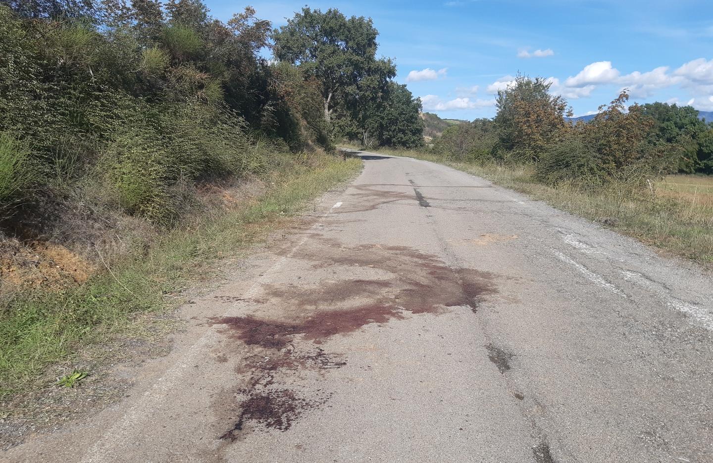 Attacco al gregge «È una situazione sempre più pericolosa» 