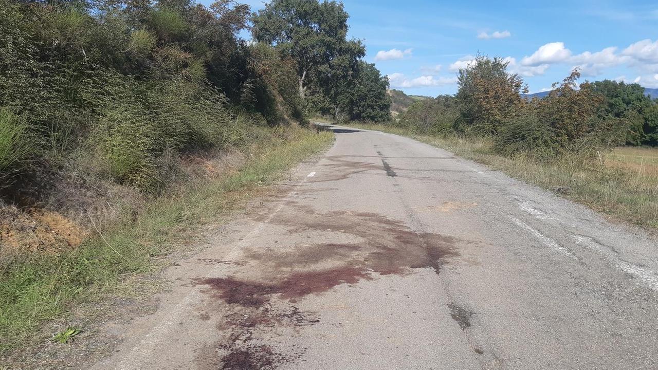 Attacco al gregge «È una situazione sempre più pericolosa»
