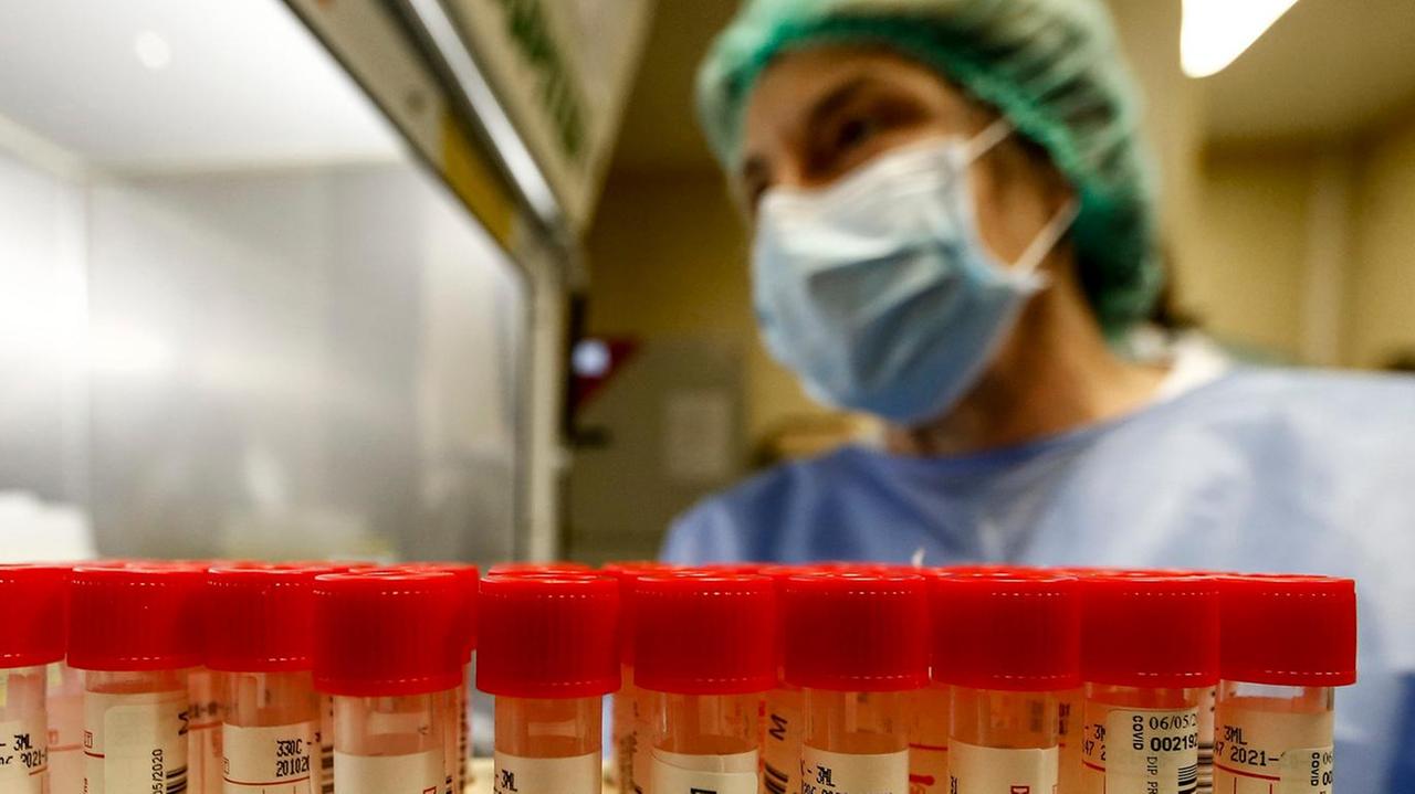 Alunno positivo, classe in quarantena alla scuola media di Cerreto Guidi