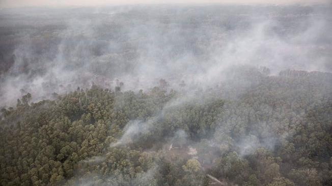 Ucraina: incendio nei boschi vicino al fronte, 9 morti