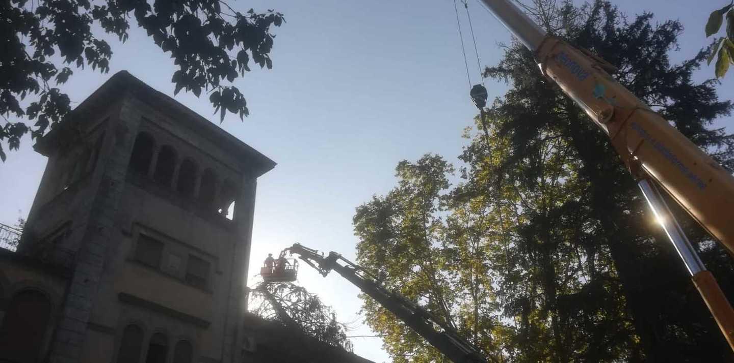 Si rimuovono gli alberi dal tetto di Villa Fiori 