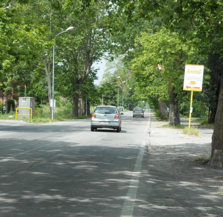«Una ciclabile in sicurezza lungo il viale delle Cascine»