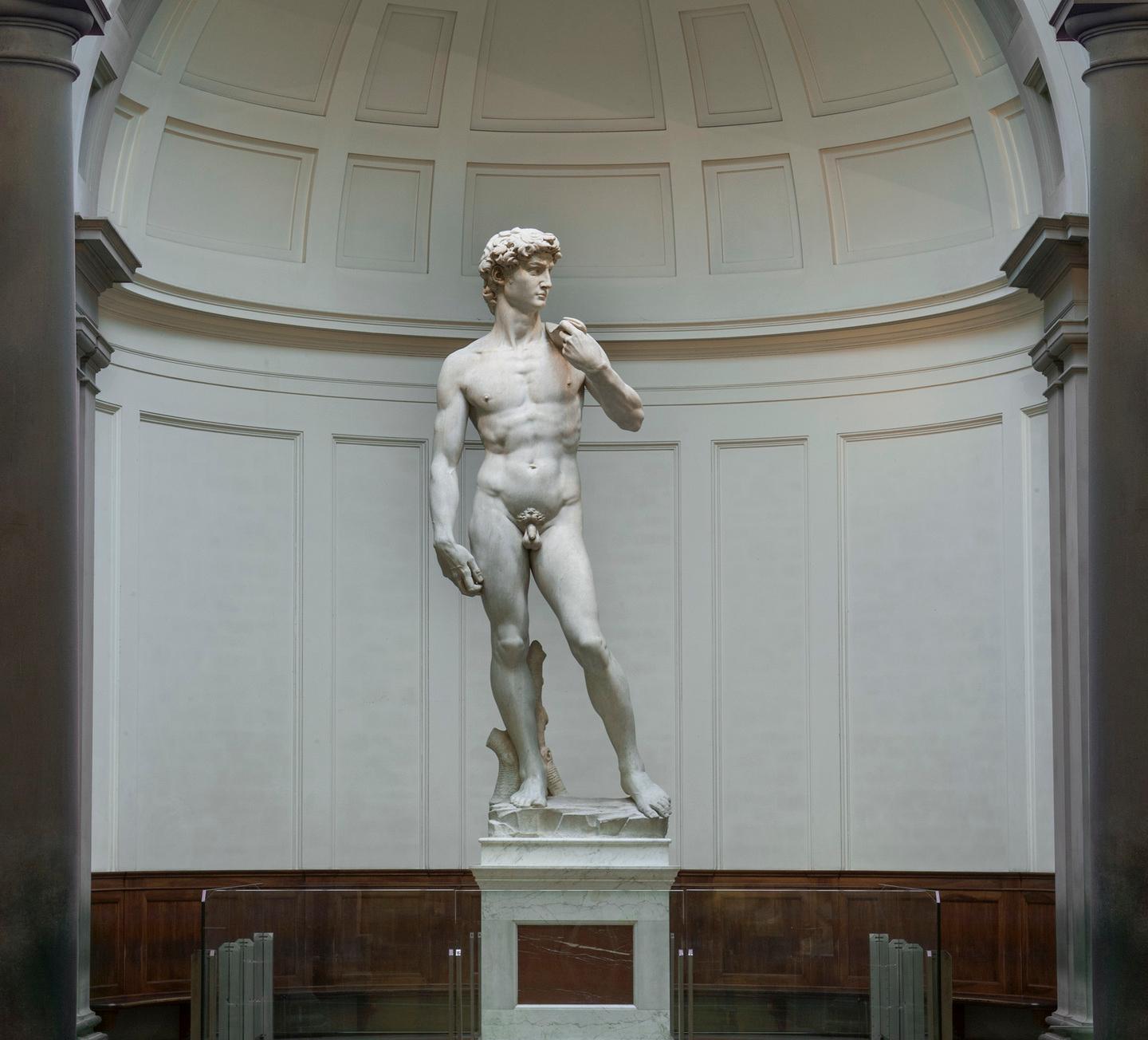 Il David di Michelangelo alla Galleria dell’Accademia