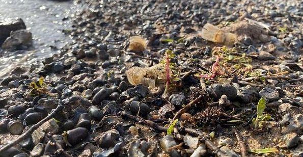 Sorradile, sulle rive del lago Omodeo migliaia di bossoli 