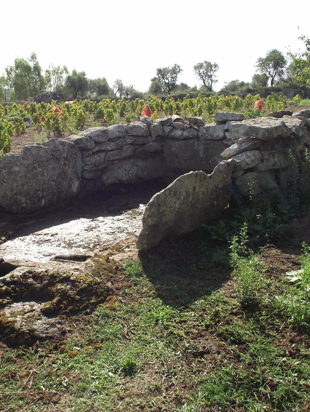 Obiettivi puntati sui tesori del passato 